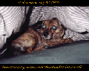 thumbnail of card #16