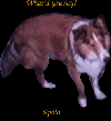 thumbnail of card #20