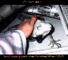 thumbnail of card #5