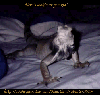 thumbnail of card #6
