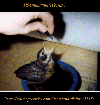 thumbnail of card #7