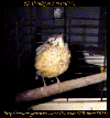 thumbnail of card #8