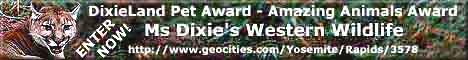 Link to Dixieland Contests