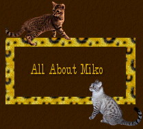 All About Miko View Her Photos