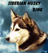 siberian Husky Ring