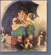 A Boy and Pups