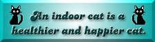 keep you cat indoor