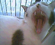 thumbnail of your picture #2