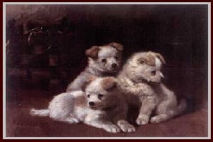 thumbnail of your picture #6