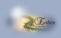 enter