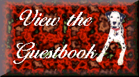 View the Guestbook