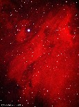 The Pelican Nebula