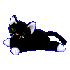 Zip