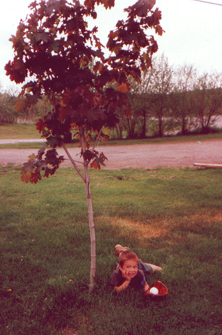 Jimbo under tree