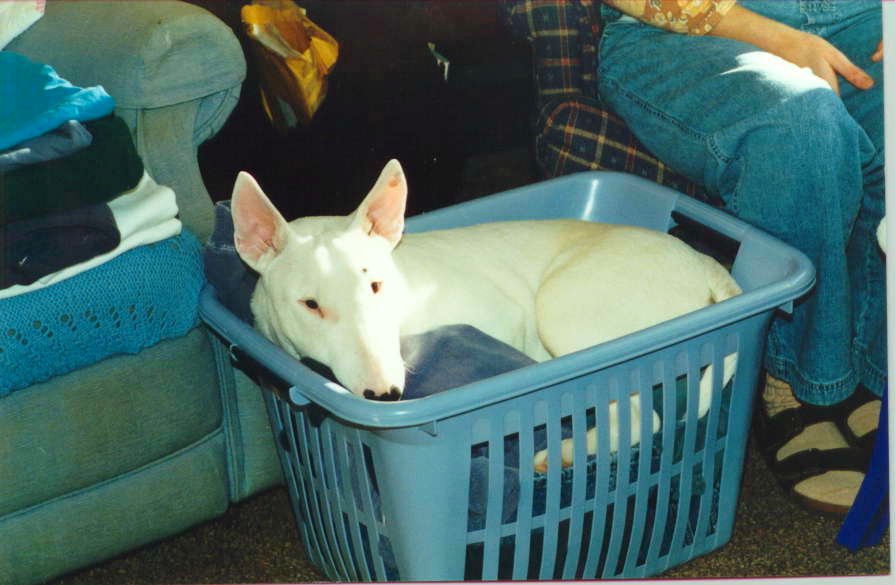 Warm laundry
