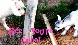 you're cute