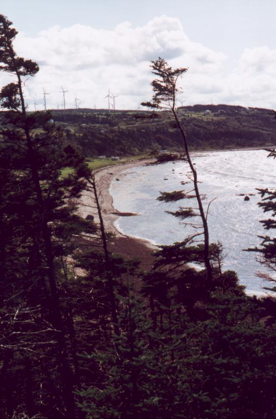 Les oliennes vues du parc de la Mer  Cap Chat