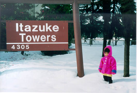 [Snowstorm Hits Japan]
