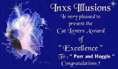 Inx Illusions - 11/12/99