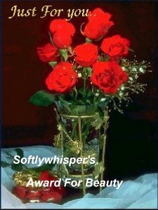 beauty