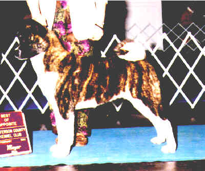 Grace at a Show