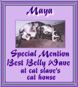 maya belly