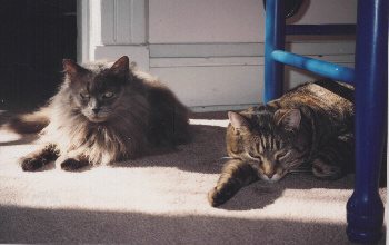 jessie&sammy