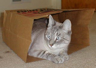 bag