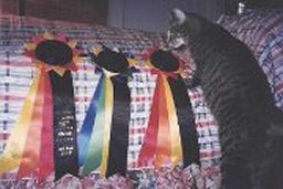 ribbon