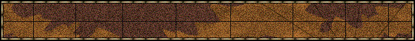 Index to 1866 Colored Census