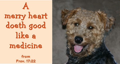 A merry heart doth good like a medicine. from Proverbs 17:22