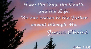 I am the way, the truth, and the life: no man comes unto the Father, but by me.     Jesus Christ