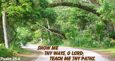 Show me Thy ways, O Lord; teach my Thy paths.