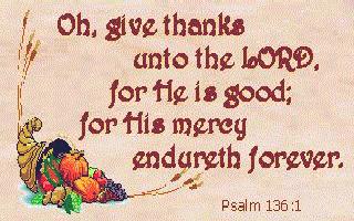 Thanksgiving Wish