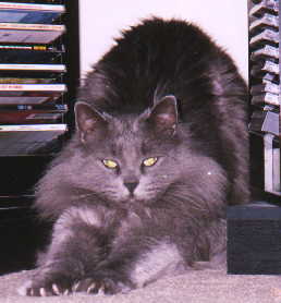 moke picture
