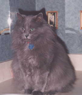 moky picture