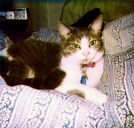 Cleo, Granny's eldest