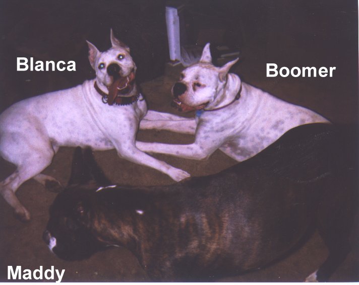  Blanca, Maddy & Boomer