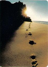 footsteps