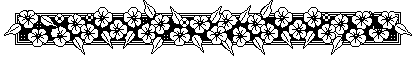 divide11.gif - 2187 Bytes