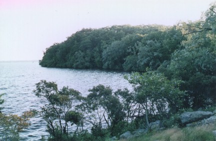 scenic view