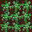 arugula