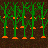carrots