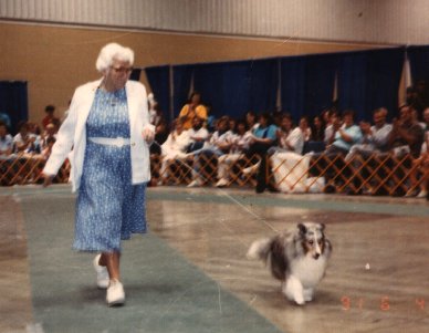 Lacy 1991 National