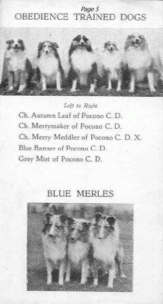 poconop5.jpg (27478 bytes)