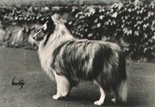 quest.jpg (8904 bytes)