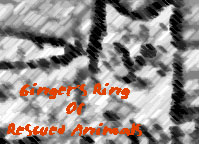 Join Ginger's Ring Of 
Rescued Animals