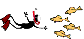 scuba