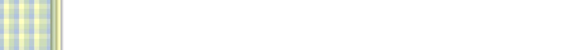 plaid2.jpg (4736 bytes)