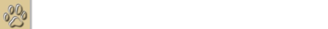yorkbg.jpg (4409 bytes)
